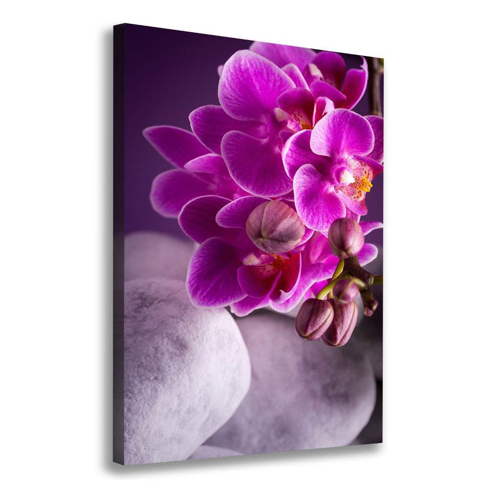 Canvas wall art Pink orchid