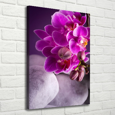 Canvas wall art Pink orchid