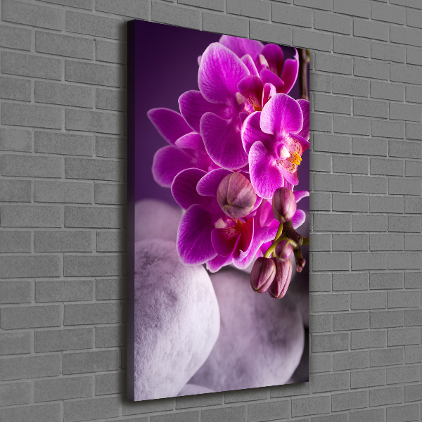 Canvas wall art Pink orchid