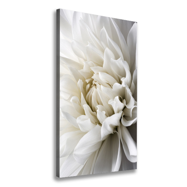 Canvas wall art White Dalia