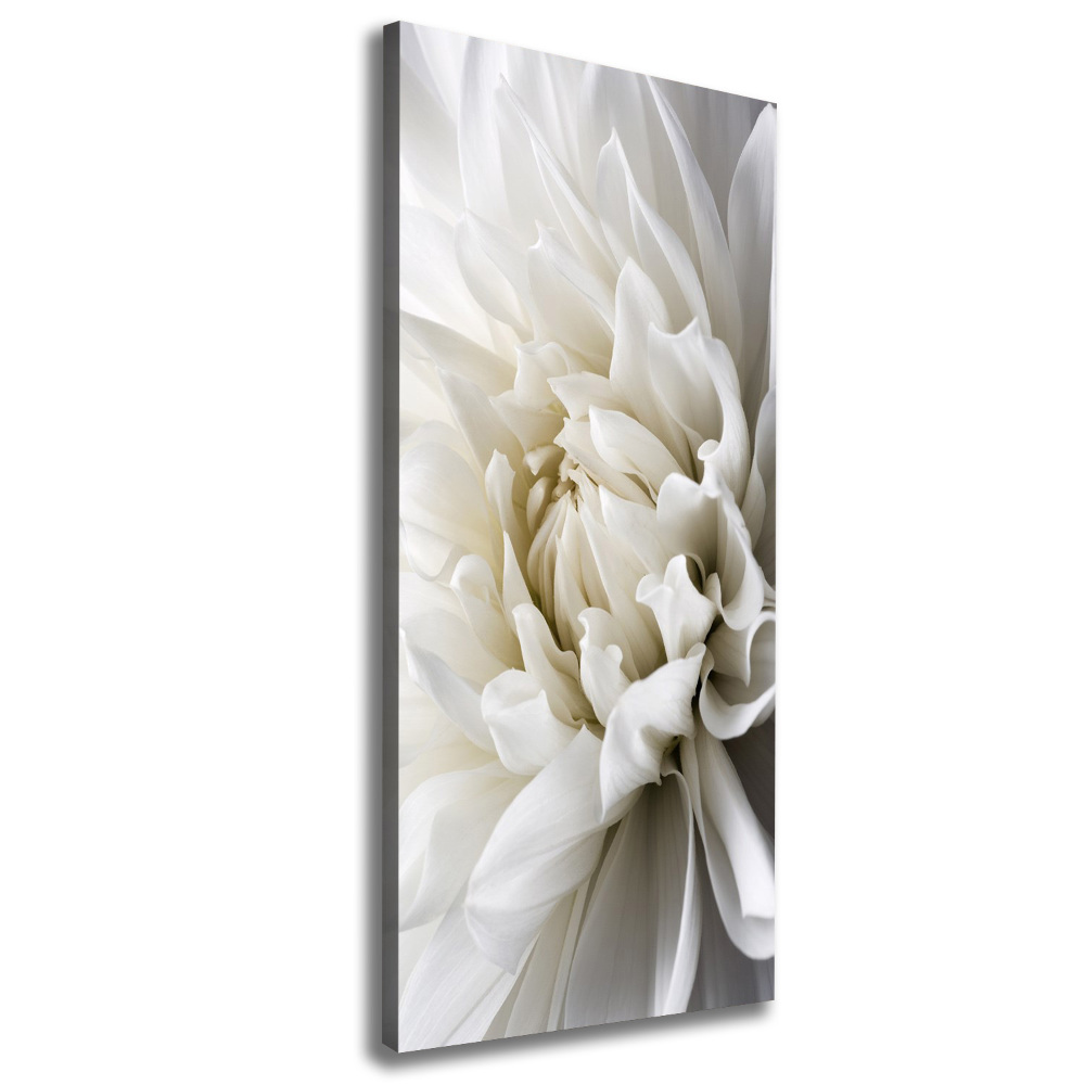 Canvas wall art White Dalia