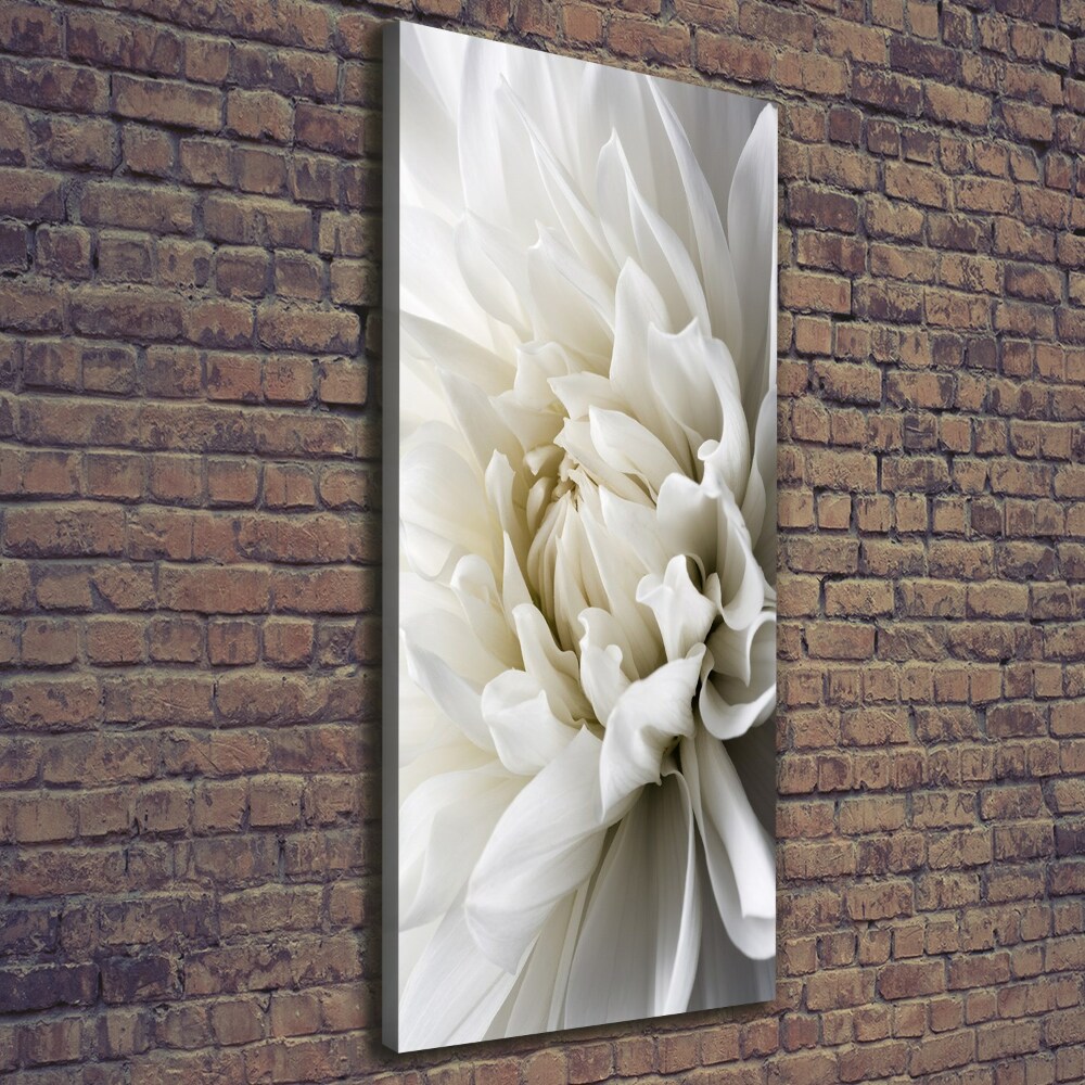 Canvas wall art White Dalia