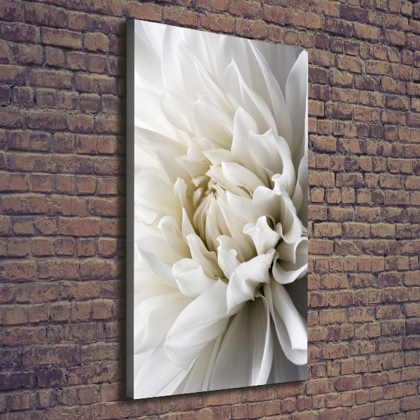 Canvas wall art White Dalia