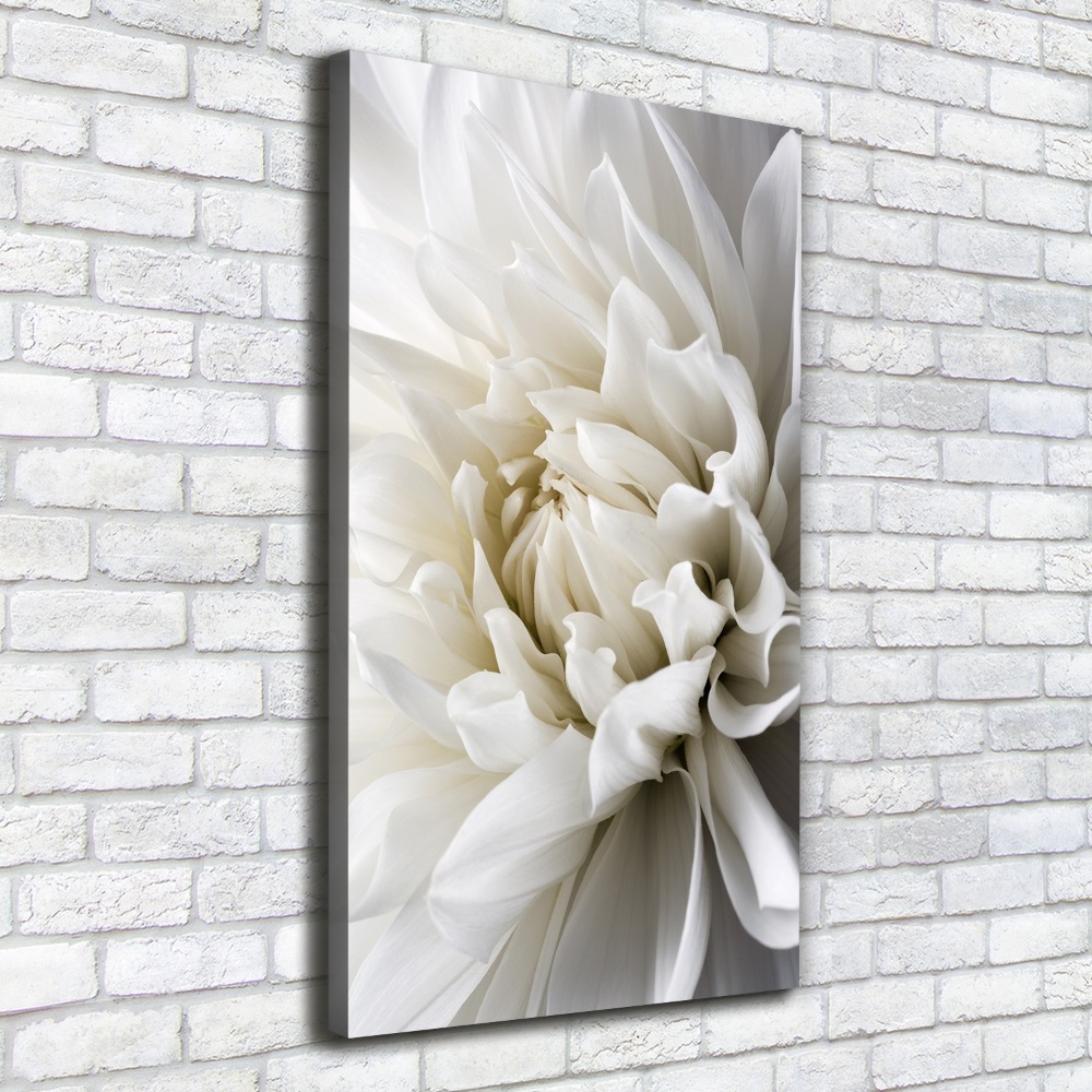 Canvas wall art White Dalia