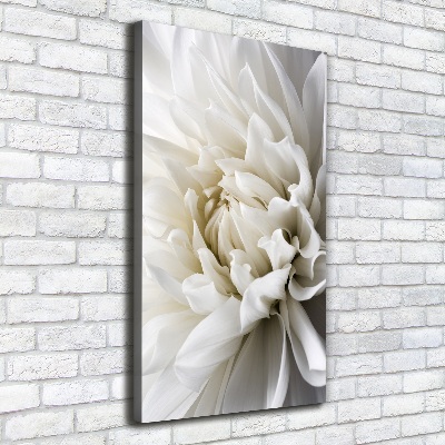 Canvas wall art White Dalia