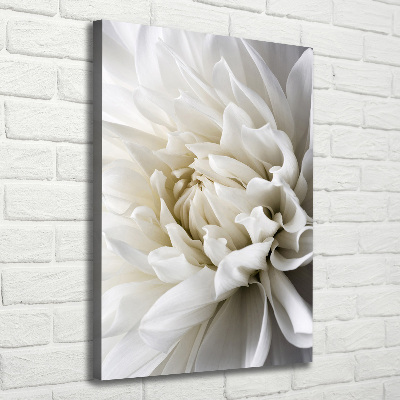 Canvas wall art White Dalia