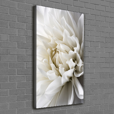 Canvas wall art White Dalia