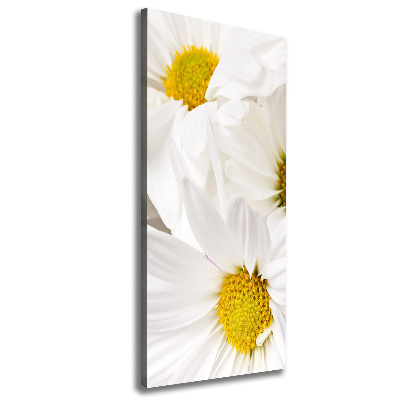 Canvas print Daisy