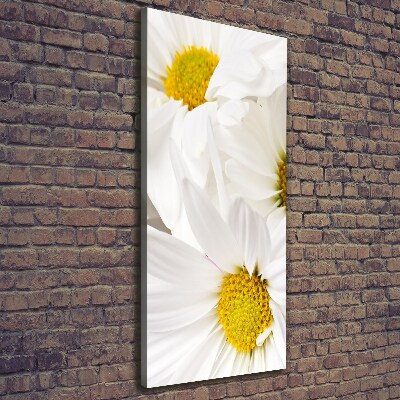 Canvas print Daisy