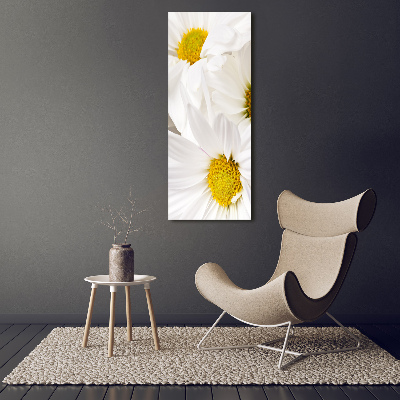 Canvas print Daisy