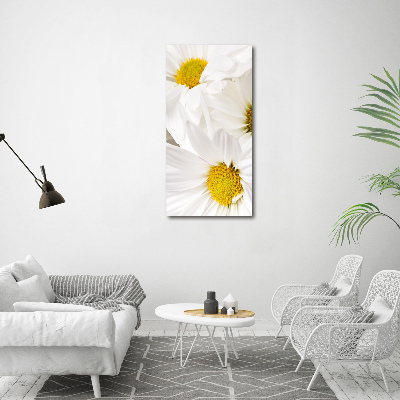 Canvas print Daisy