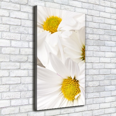 Canvas print Daisy