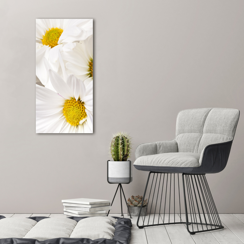 Canvas print Daisy