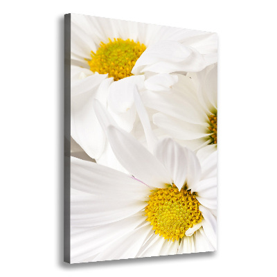 Canvas print Daisy