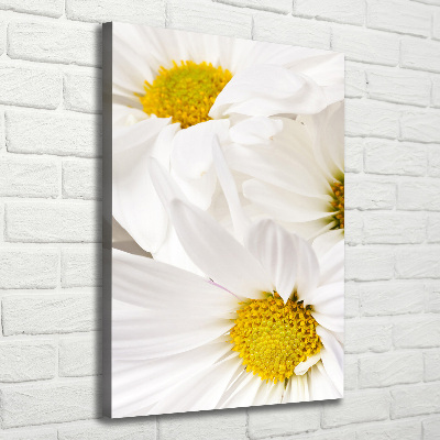 Canvas print Daisy