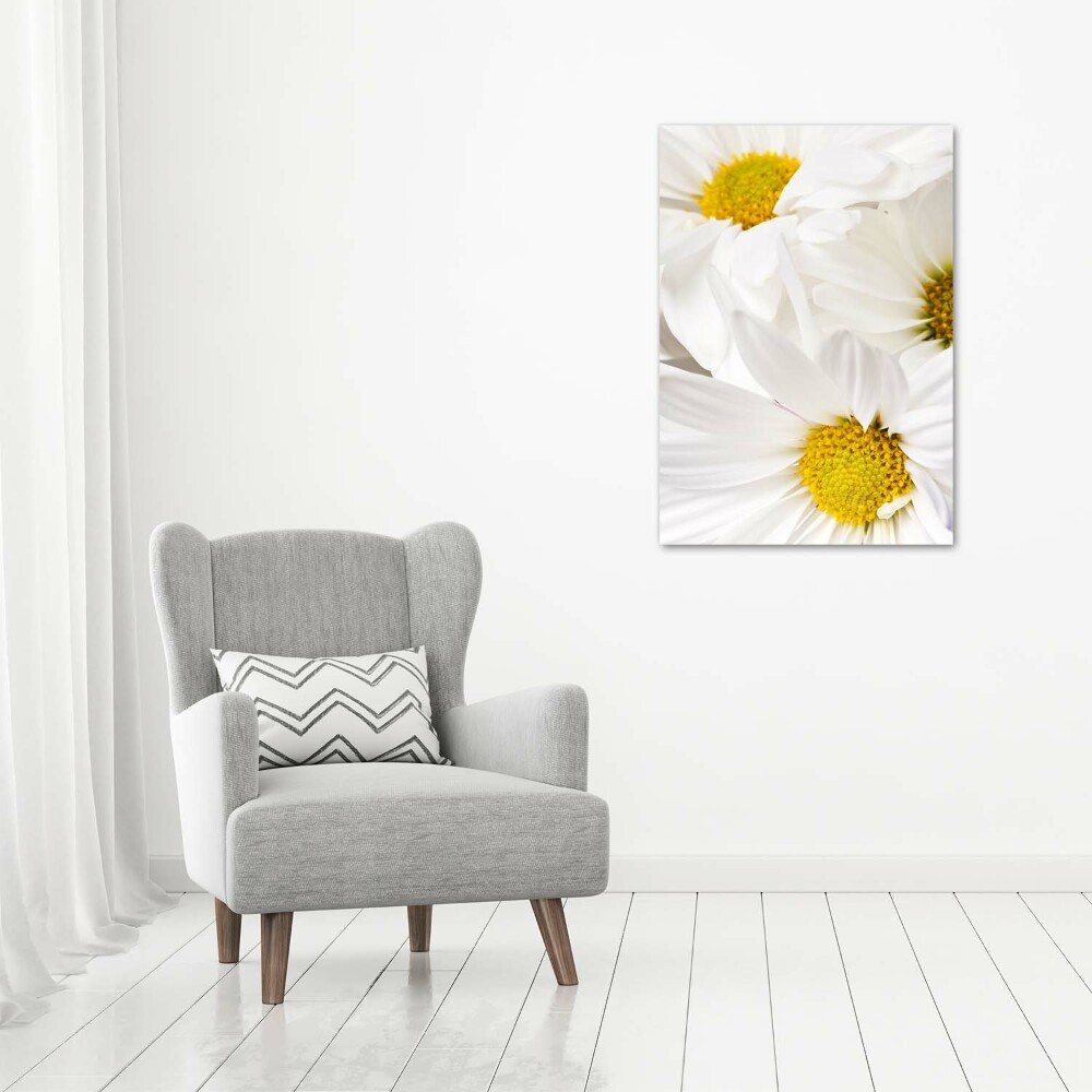 Canvas print Daisy