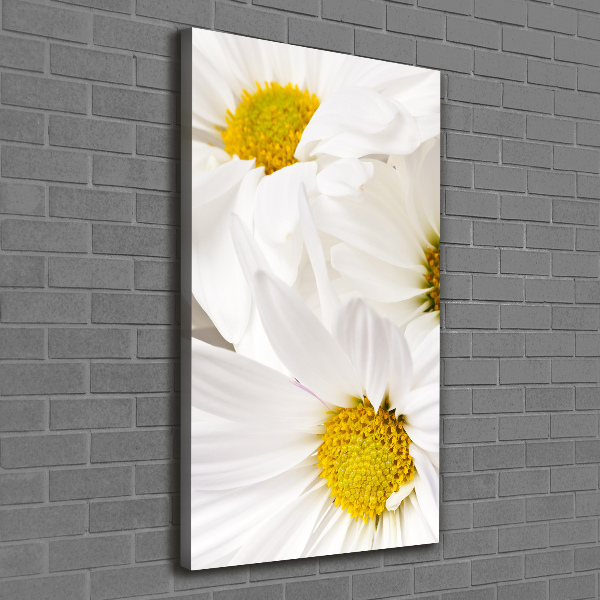 Canvas print Daisy