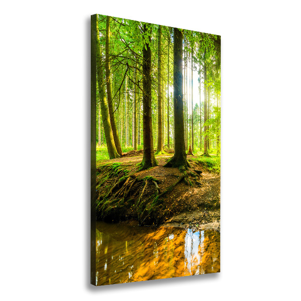 Picture canvas print Stream in the forest