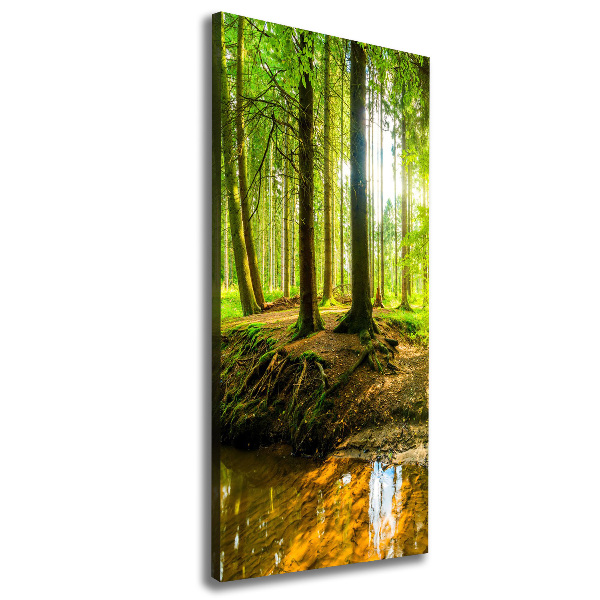 Picture canvas print Stream in the forest