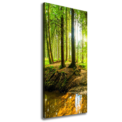 Picture canvas print Stream in the forest