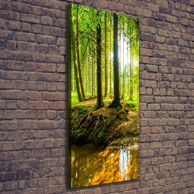 Picture canvas print Stream in the forest