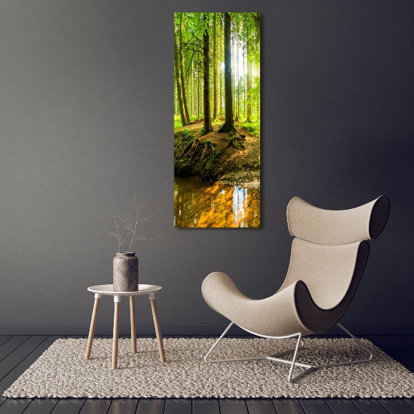 Picture canvas print Stream in the forest