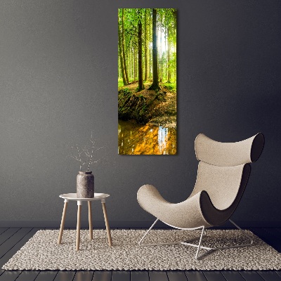 Picture canvas print Stream in the forest