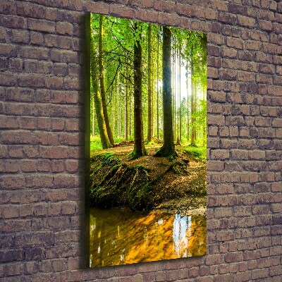 Picture canvas print Stream in the forest