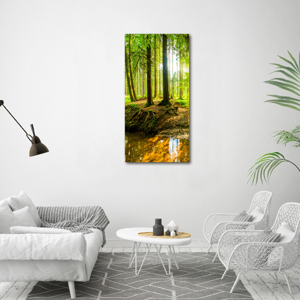 Picture canvas print Stream in the forest