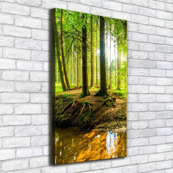 Picture canvas print Stream in the forest