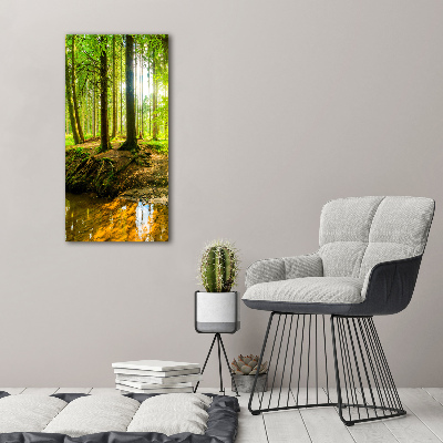 Picture canvas print Stream in the forest