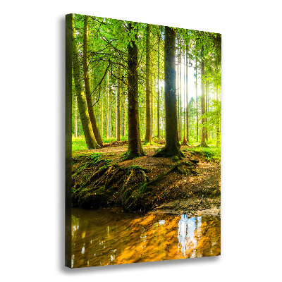 Picture canvas print Stream in the forest