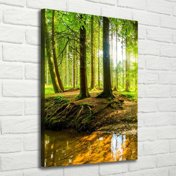 Picture canvas print Stream in the forest