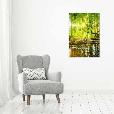 Picture canvas print Stream in the forest