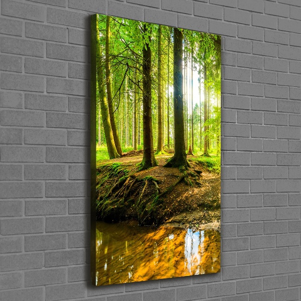 Picture canvas print Stream in the forest