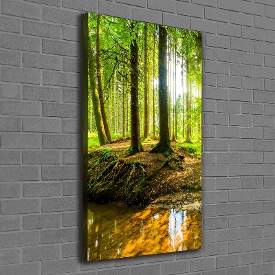 Picture canvas print Stream in the forest