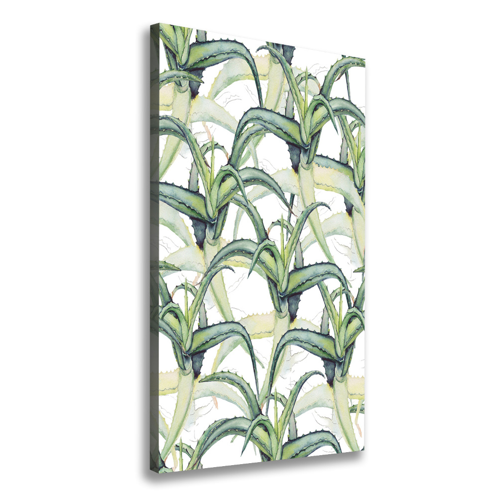 Picture canvas print Aloe