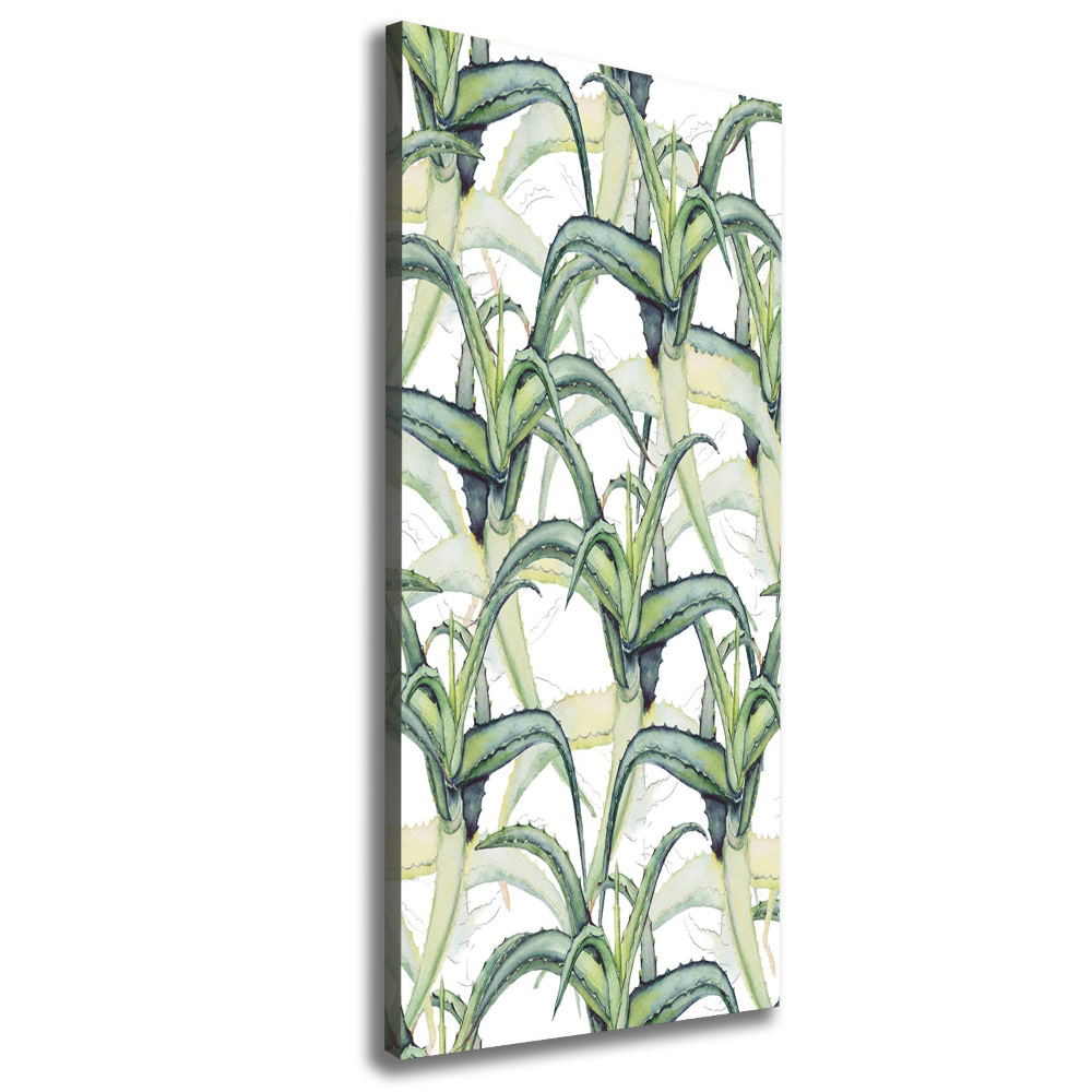 Picture canvas print Aloe