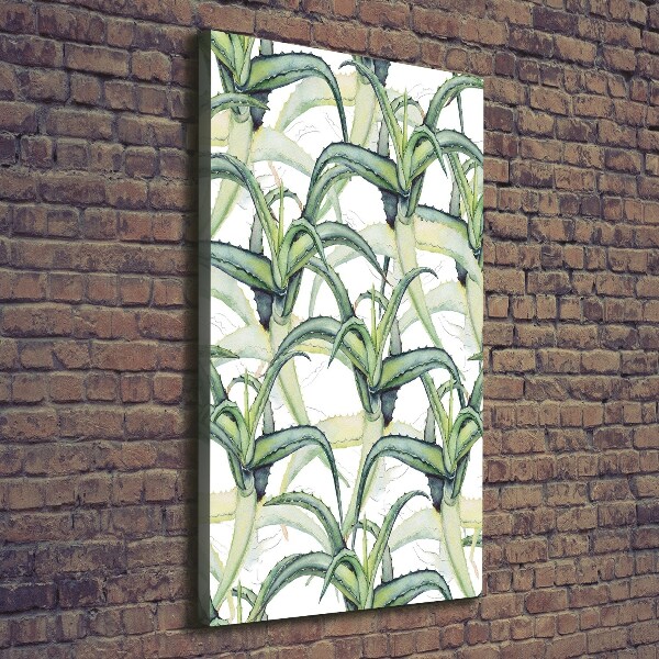 Picture canvas print Aloe