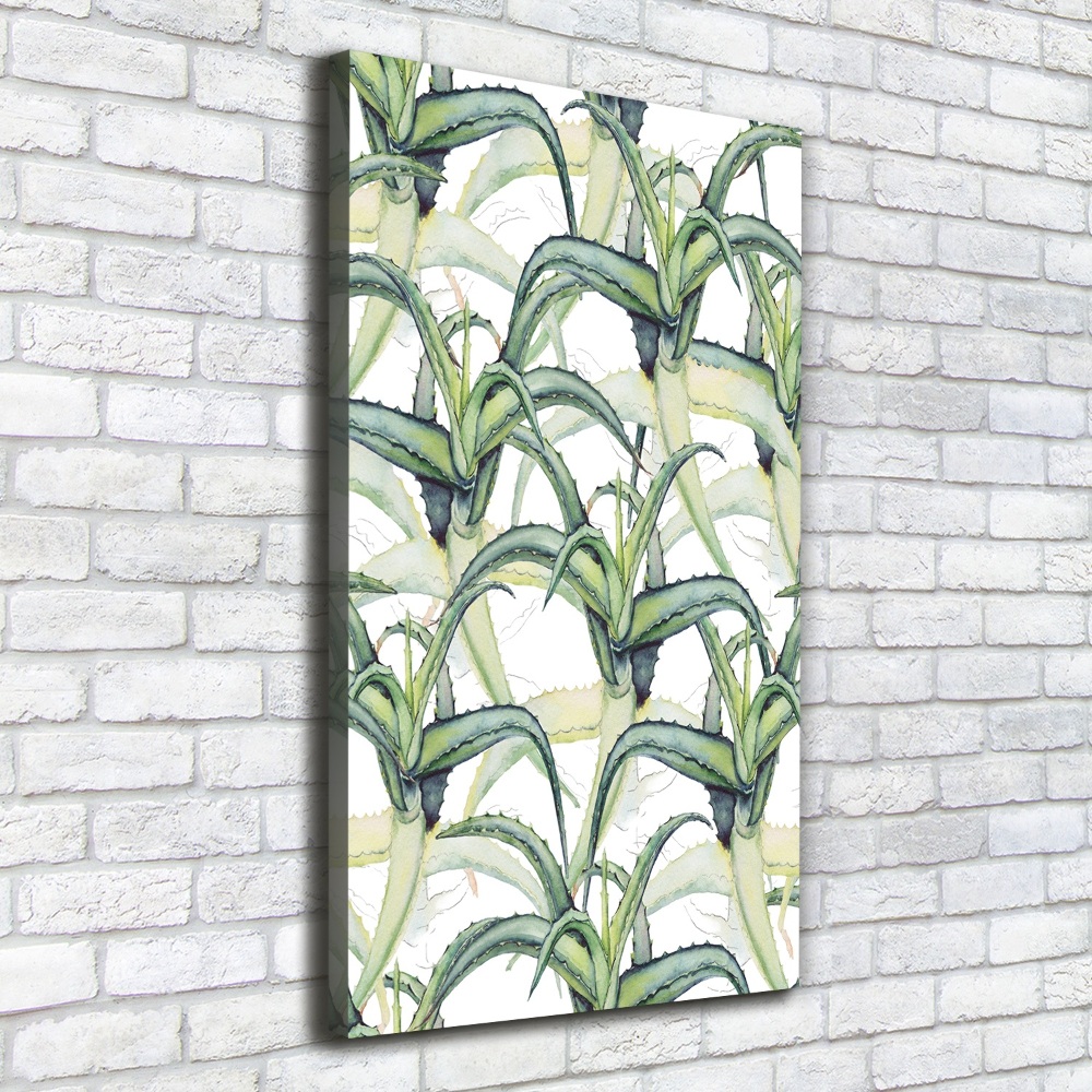 Picture canvas print Aloe