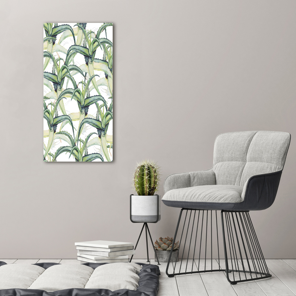 Picture canvas print Aloe