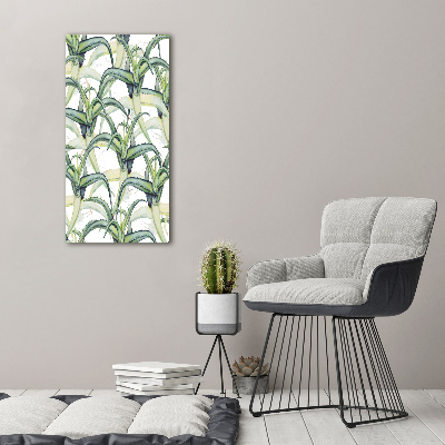 Picture canvas print Aloe