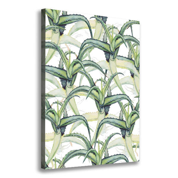 Picture canvas print Aloe