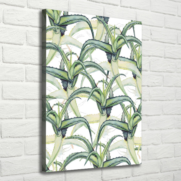 Picture canvas print Aloe