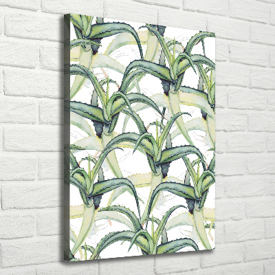 Picture canvas print Aloe