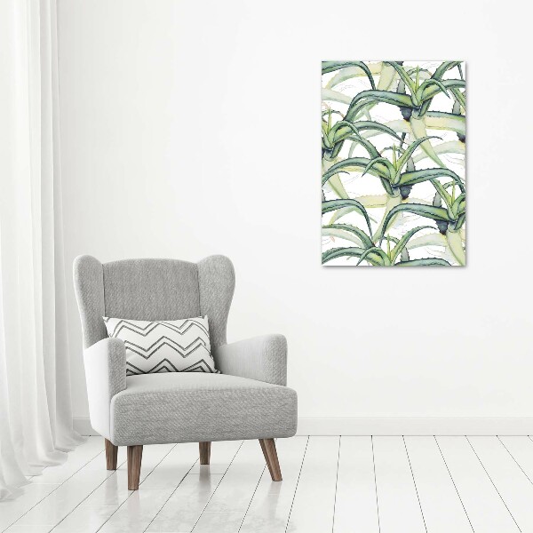 Picture canvas print Aloe