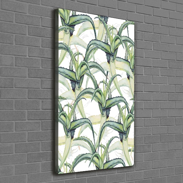 Picture canvas print Aloe