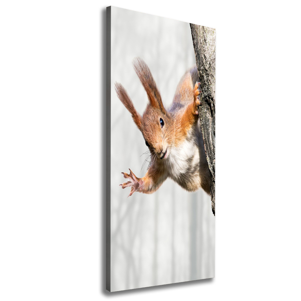 Wall art canvas large Squirrel on a tree