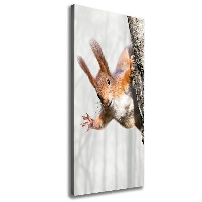 Wall art canvas large Squirrel on a tree