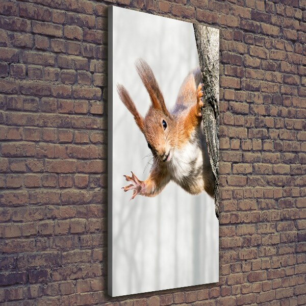 Wall art canvas large Squirrel on a tree